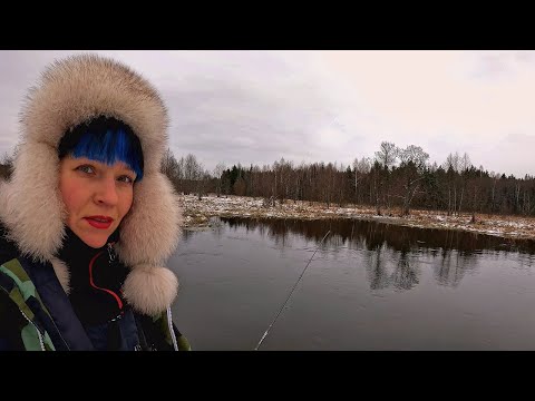 Первая рыбалка в 2024 году. Одна на незнакомой реке в мороз. #419