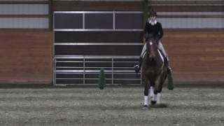 24 NCEA Flat Pattern - Saludo