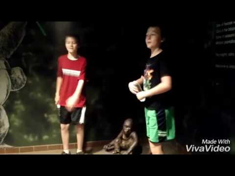 camera iphone 8 plus apk ZooZ