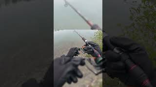 #fishing #angeln #angler #fish #kunstköder #gummifisch #spinning #spinnfischen #fischer #fischen