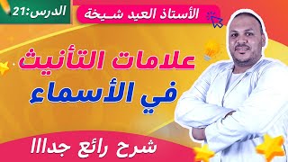 علامات التأنيث في الأسماء | شرح مبسّط مع أمثلة للسنة الخامسة ابتدائي 📘