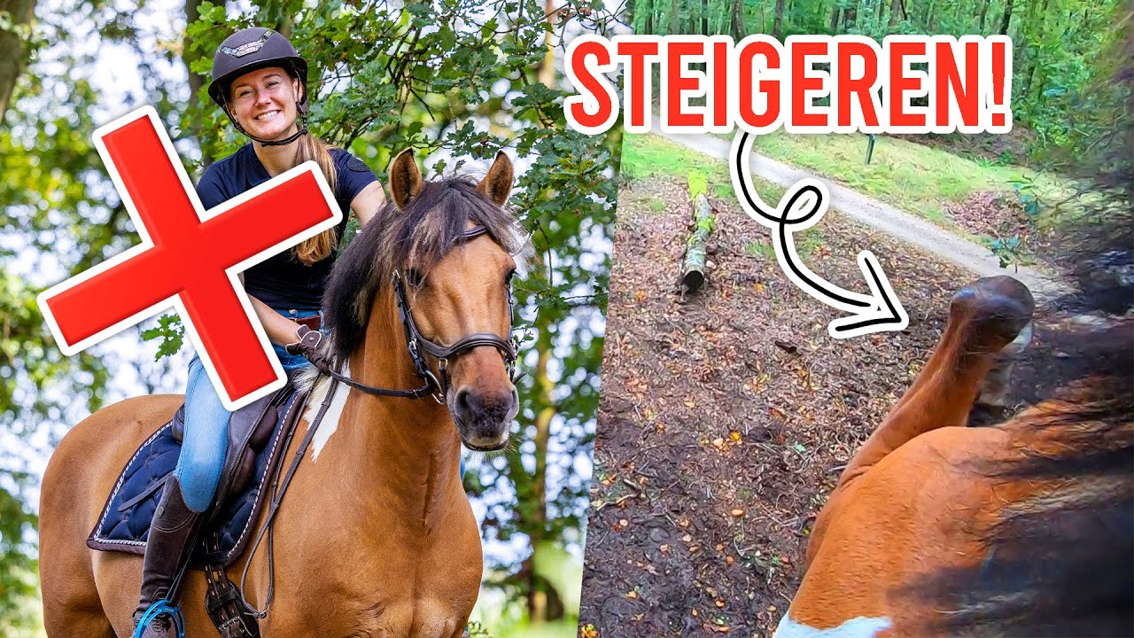 FELINEHOI STOPT ❌ Complete ERROR op buitenrit...