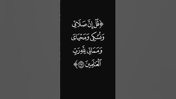 (دينا قيما) #قرآن #سورة_الأنعام #عبدالرحمن_ريس #ليدّبّروا_آياته #راحة_نفسية #شاشه_سوداء #quran