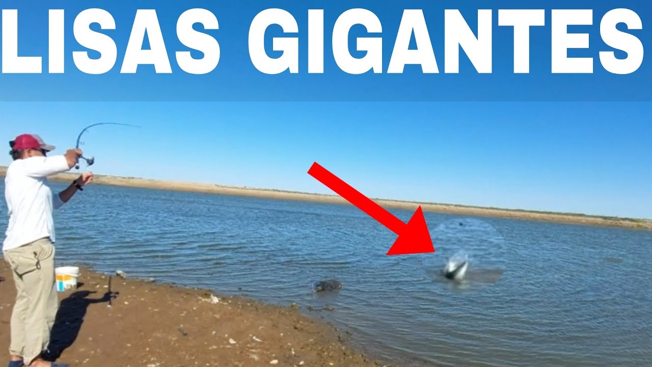 TERRIBLE PESCA DE LISAS en Roque Perez (Villa Benita)🎣