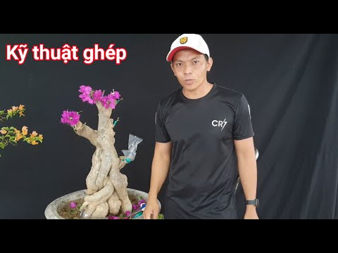 Video Hướng dẩn kỹ thuật ghép bông giấy đơn giản siêu hoa... - youtube