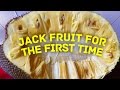 TRYING JACKFRUIT FOR THE FORST TIME!