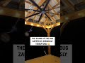Hack to get all of the gnats 🦟😲⚡️                             🎥: TikTok / heathers.fitness