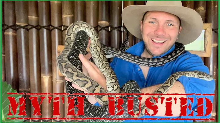 Seven common Snake Myths BUSTED