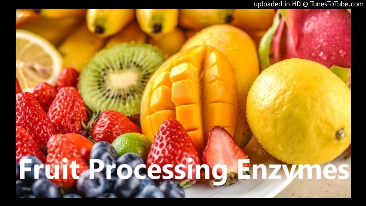 Fruit Processing Enzymes Suppliers Papain (CAS Number 9001734