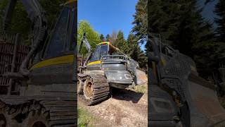 Blue Sky Loading – Buffalo at Work 🌲🦬#heavyequipment #forestry #forest