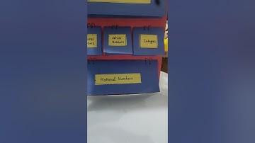 Rational number #model(tlm)#viral #video