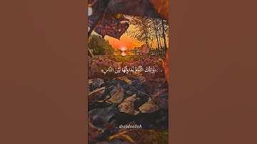 سورة آل عمران القارئ #ماهر_المعيقلي #فلسطين#السعودية#الجزائر#المغرب#مصر#تونس#ليبيا#موريتانيا#اكسبلور
