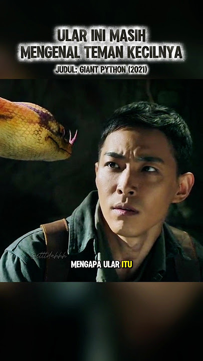 BERTEMU KEMBALI SETELAH 15 TAHUN BERPISAH‼️ #alurceritafilm #shorts