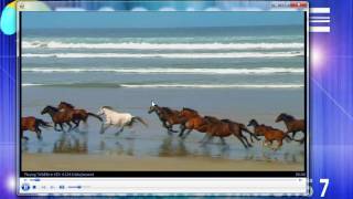 Famous Odaanabee User Interface.wmv Profile