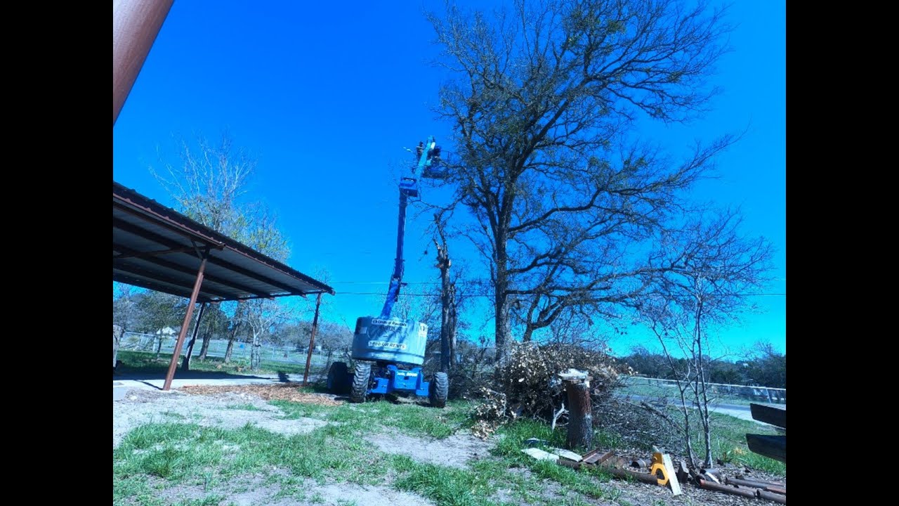 Tree Trimming - Time Lapse - YouTube