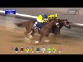 16 /12/21 - Race 4 - The Longines Elegant