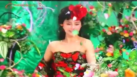 Shenzhen Haojingyuan Optoelectronic Co.,Ltd