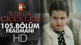 Kırgın Çiçekler 105.  Fragmanı Resimi