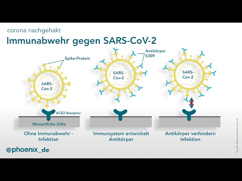 Video: Was ist ein Zytokinsturm beim Coronavirus?