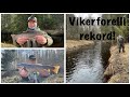 Uus vikerforelli rekord new pb rainbow trout