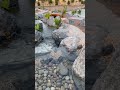بحيرة طبيعية الإمارات العربية المتحدة دبي بحيرة طبيعية الإمارات العربية المتحدة دبي