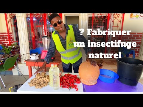 Vidéo: 3 façons de fabriquer un insectifuge naturel