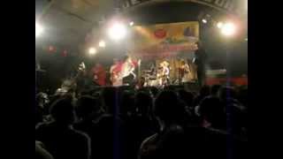tobacco n tea masih gimbal