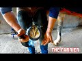 BURNING ON SHOES [HorseShoeing] [Blacksmith/Farrier]