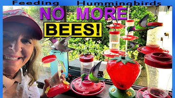 KEEPING Bees Off Hummingbird Feeder 💮 BE AWARE of Bee Proof Issues Before YOU Buy 🌺 EASY to Clean