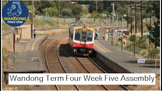 Wandong Term Four Week Five Assembly