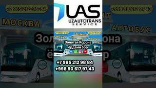москва ташкент автобус россия узбекистан 2023 давлат рейслари хизмати нархлари шортс