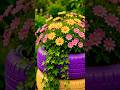 Flower gardening #flowres #gardening