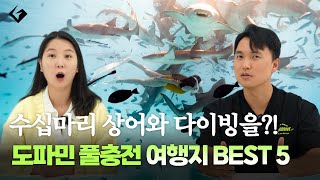 죽기전에 꼭 가봐야할 다이빙 성지 TOP5🦈 여행지 포인트 다 알려 드립니다