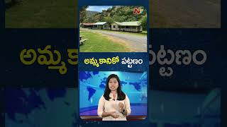 Tiny Town Licola in Australia For Sale, 6-10 Million Australian Dollars | NTV Global
