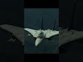 The Mighty F-14 Tomcat | DCS World