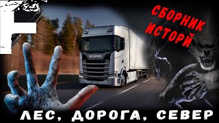 СБОРНИК ИСТОРИЙ! ЛЕС, ДЕРЕВНЯ, ДОРОГА! Страшные Истории На Ночь!