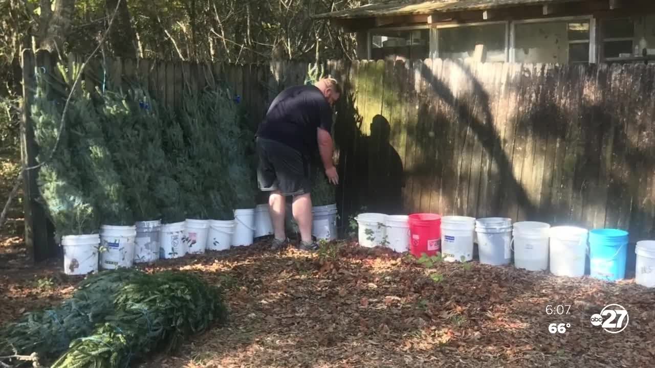 Holiday Heroes provide free Christmas trees for area veterans YouTube