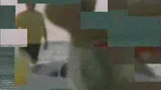 VVH-TV Stings