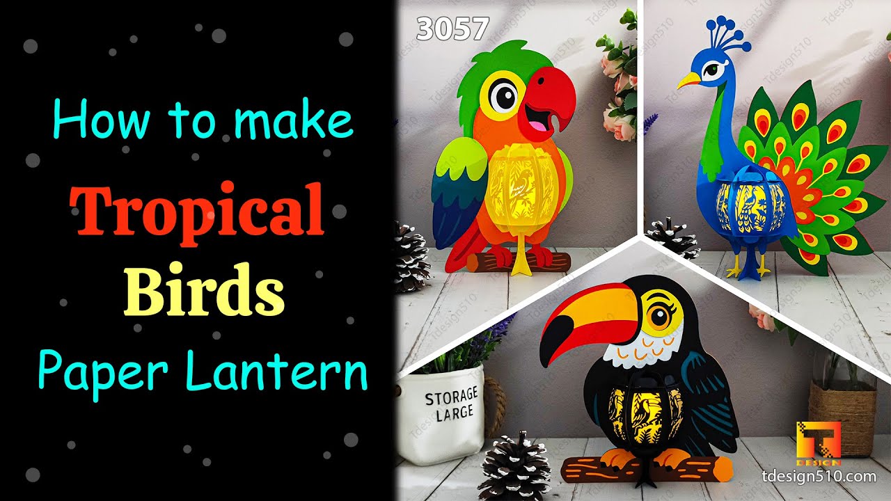 How to make Tropical Birds Lantern, paper cutting 3D Shadow box, Parrot Toucan Peacock - Tdesign510