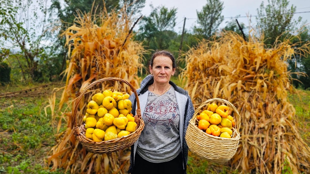 Gathering Quince: Nature's Sweet Treasure Hunt! 🍐🌳