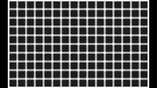 Grid With Imaginary Dots Optical Illusion