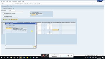 SAP + ABAP + Dynamic parameter variant