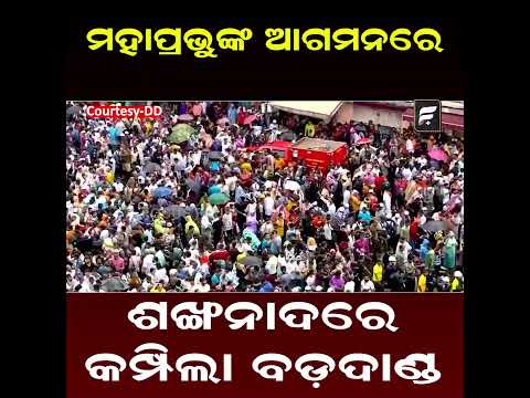 ମହାପ୍ରଭୁଙ୍କ ଆଗମନରେ ଶଙ୍ଖନାଦରେ କମ୍ପିଲା ବଡ଼ଦାଣ୍ଡ ll FOCUS PLUS ||