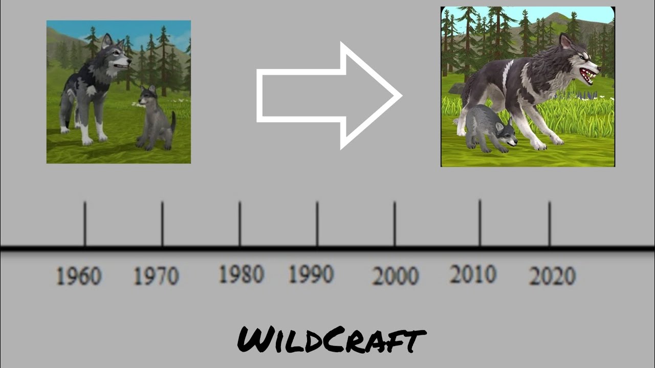 History of WildCraft YouTube