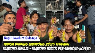 HARGA BURUNG SAMYONG 2025 TERBARU !!! SAMYONG REMAJA - SAMYONG TROTOL DAN SAMYONG NOPENG screenshot 1