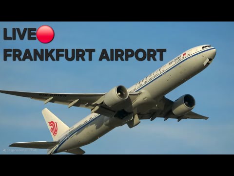 LIVE🔴 Frankfurt Airport | Planespotting | 25 Betrieb☀️🛫