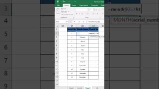 Serial No, Month Name & Month No #excelformula @developersguides