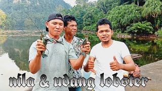 BABON SUNGAI VS UDANG LOBSTER || DI GANYANG MONSTER SUNGAI || MANCING MANIA screenshot 5