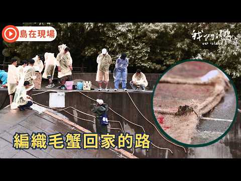 島在現場》編織麻布網：助新店溪毛蟹返家之路｜公視我們的島 短片