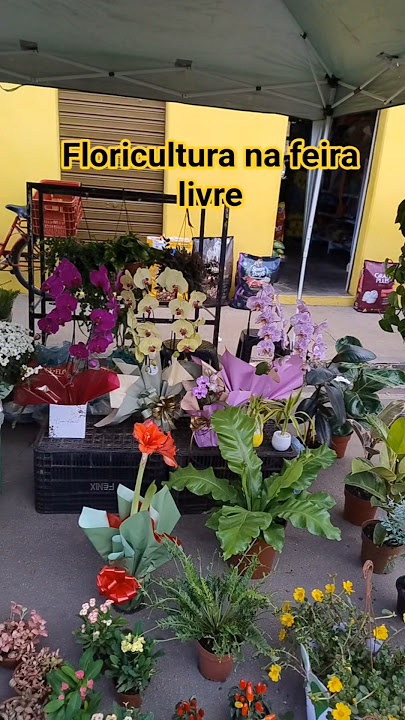 FLORIST // BEAUTIFUL FLOWERS #orchids